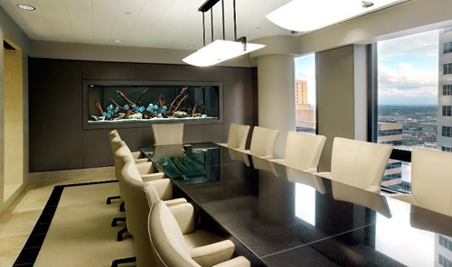 數(shù)量顏色有講究辦公室養(yǎng)魚風水知識